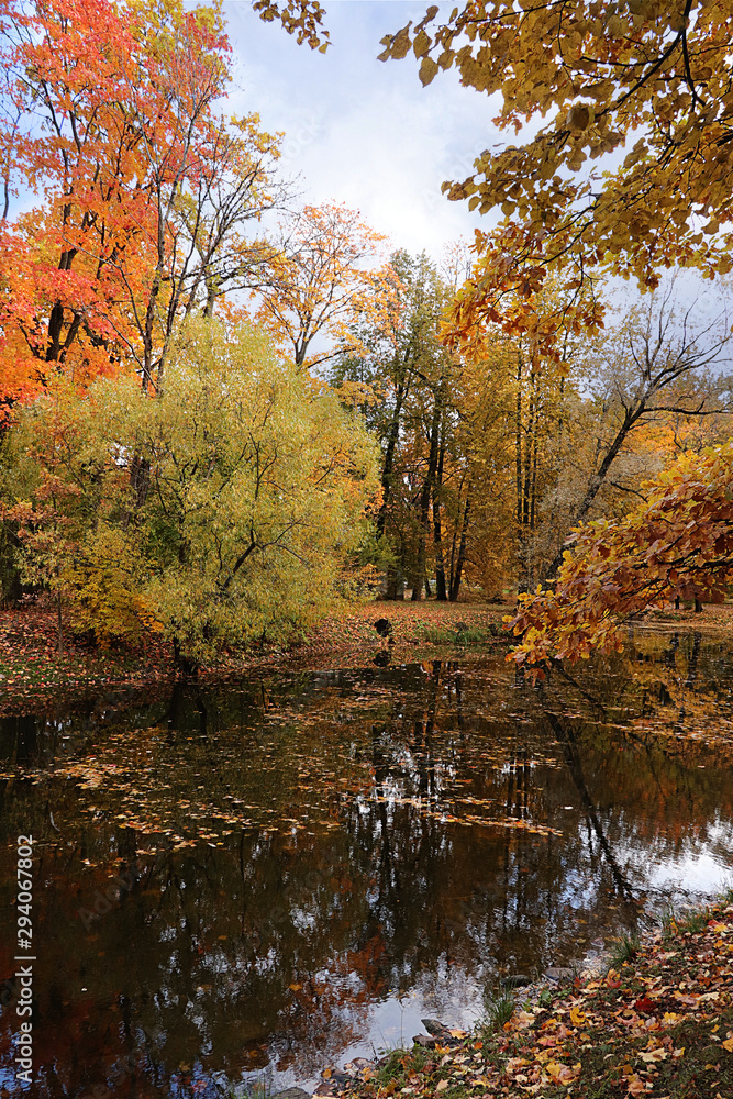 October autumn park in Russia, lake with red leaves and reflection in the lake, Alexander Park, Tsarskoye Selo, Leningrad Region. Beautiful autumn landscape in the park, October autumn park in Russia, lake with red leaves and reflection in the lake, Alexander Park, Tsarskoye Selo, Leningrad Region. Beautiful autumn landscape in the park,