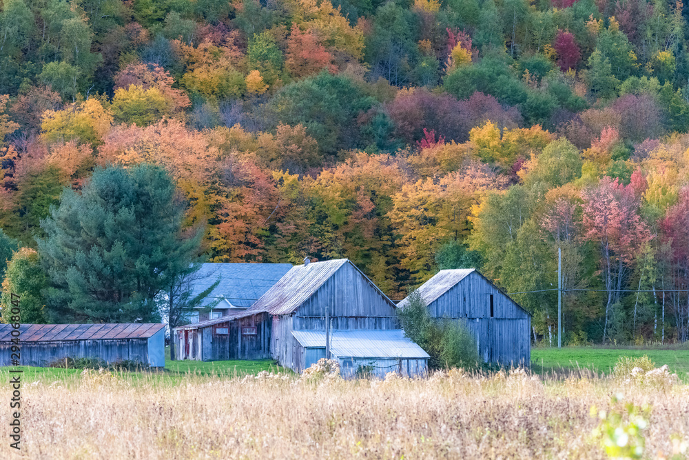 Hut in the forest in Canada, during the Indian summer, beautiful colors of the trees