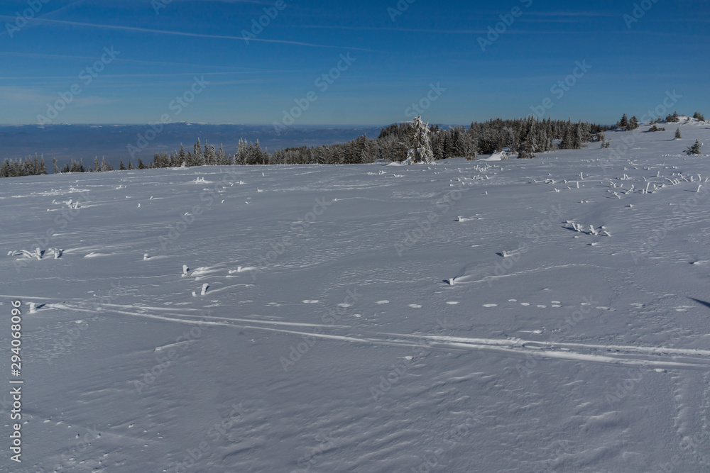 Winter view of Vitosha Mountain, Bulgaria