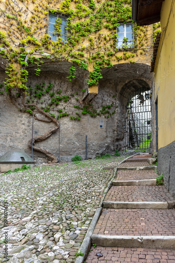 Street with stairways of a medieval Italian historic center (Rovereto) - Walls with climbing plants
