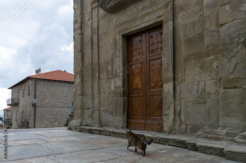 Lonely cat walking in front of a church © Fabrizio