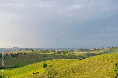 Hills and vineyards at sunset