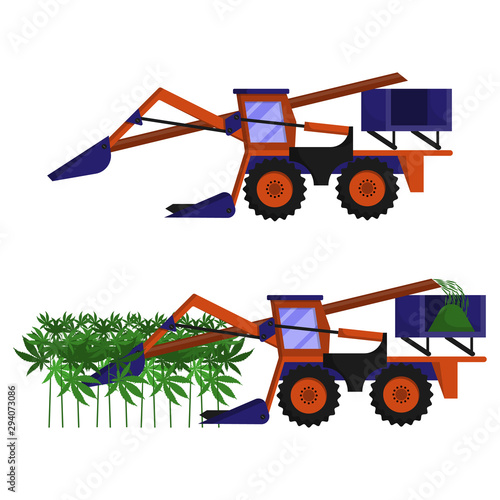 The harvester, combine, produces mechanized harvesting of technical hemp in the field
