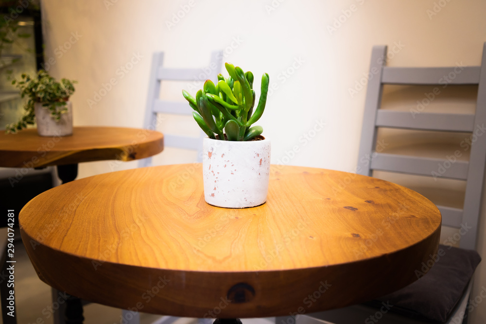 Wooden desk table top with green tree pot Wooden desk table top with green tree pot