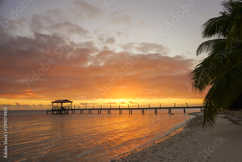 View of a dock leading out into water framed by palm trees on the tropical island of Fakarava in French Polynesia photo