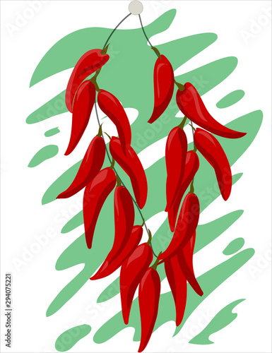 A bunch of chili pepper on a white background. Autumn harvest. Vector illustration