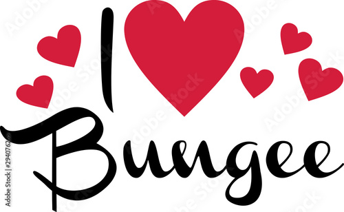I love Bungee Jumping