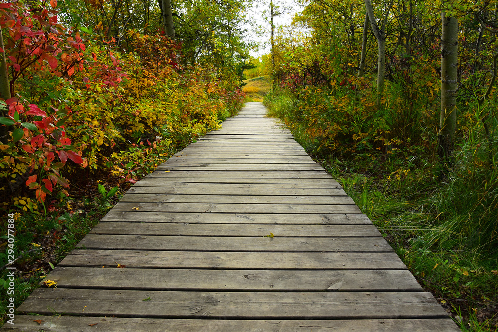 Obraz premium Old Wooden Footpath