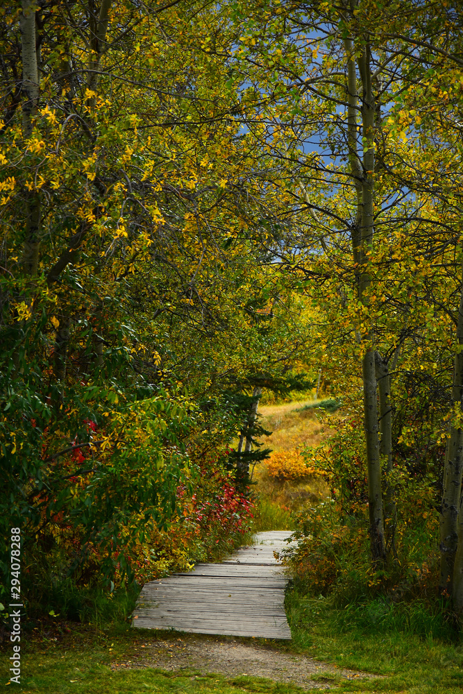 Old Wooden Footpath Old Wooden Footpath