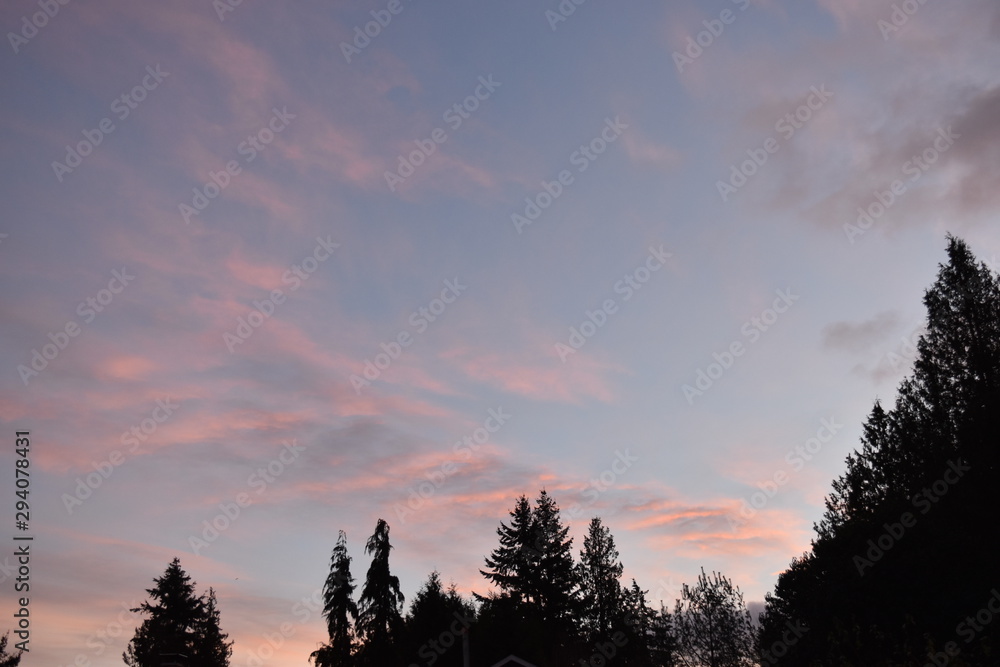 sky at dawn with tree silhouettes