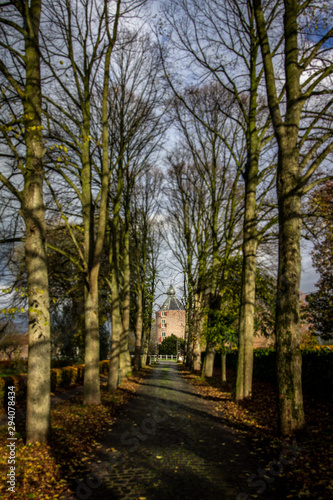Kasteel Ammersoyen Entrance Road - Dutch Medieval Castle in Ammerzode