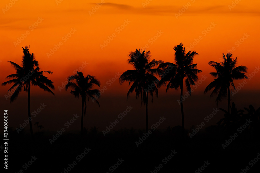 The black coconut tree silhouette has the color of the sky during the time the sun sets beautifully.