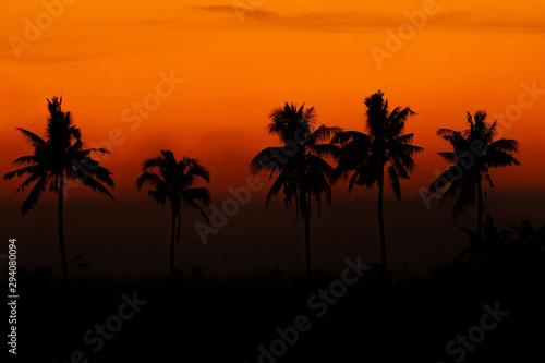The black coconut tree silhouette has the color of the sky during the time the sun sets beautifully. © itthiphon