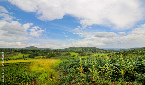Panoramic overview of the rural Gitega Province in Burundi with agricultural fields until the Horizon. Cassava, millet and corn are the most common crops photo