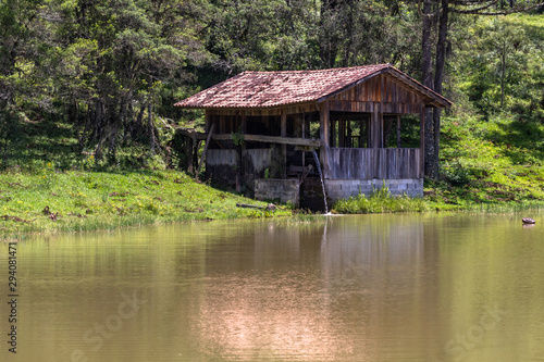 Cabin on the shores of a lake with Araucaria forest in the background.