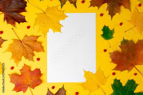 Flat lay autumn fallen leaves on a yellow background with white blank space for text. Top view autumn concept. fall background.