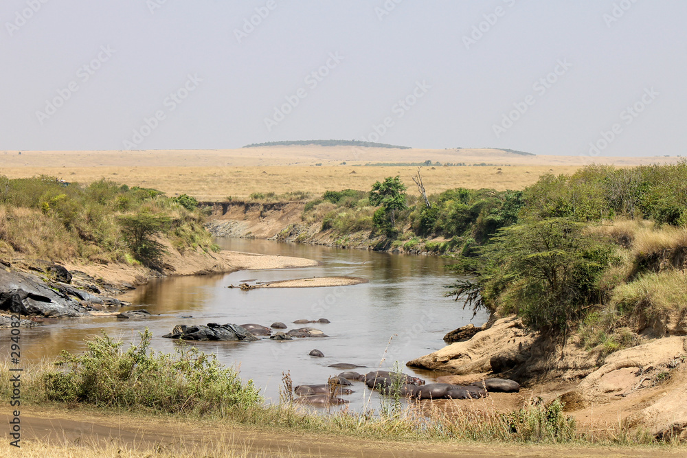 View over the Mara River in Kenya's Maasai Mara National Reserve. A Popular spot for spotting river-crossings by Wildebeest. Carcass in Water and Safari Vans in Background