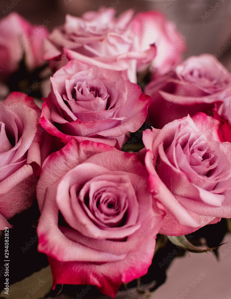 Color of Love Color of Love
