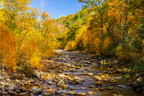 Yellow Creek