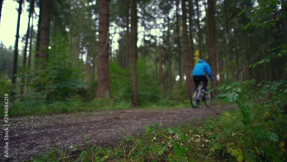 A scene of a road trip with a man riding a bicycle driving through the forest. A scene of a road trip with a man riding a bicycle driving through the forest.