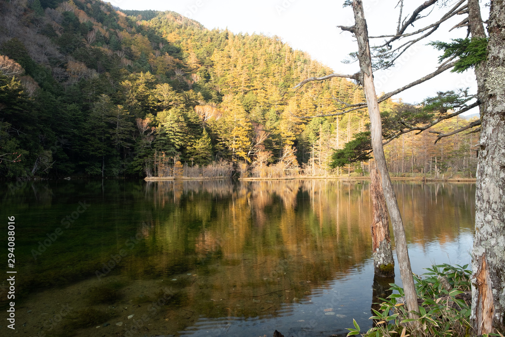 上高地 上高地