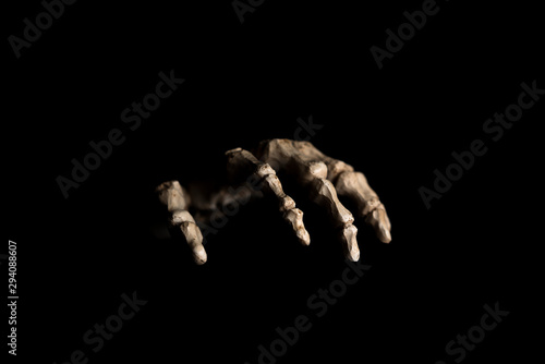 Принти на полотні Skeleton hand