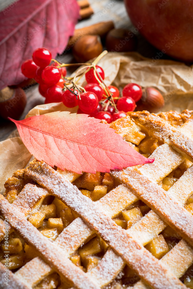 Freshly baked autumn apple pie with cinnamon. Selecive focus. Shallow depth of field.