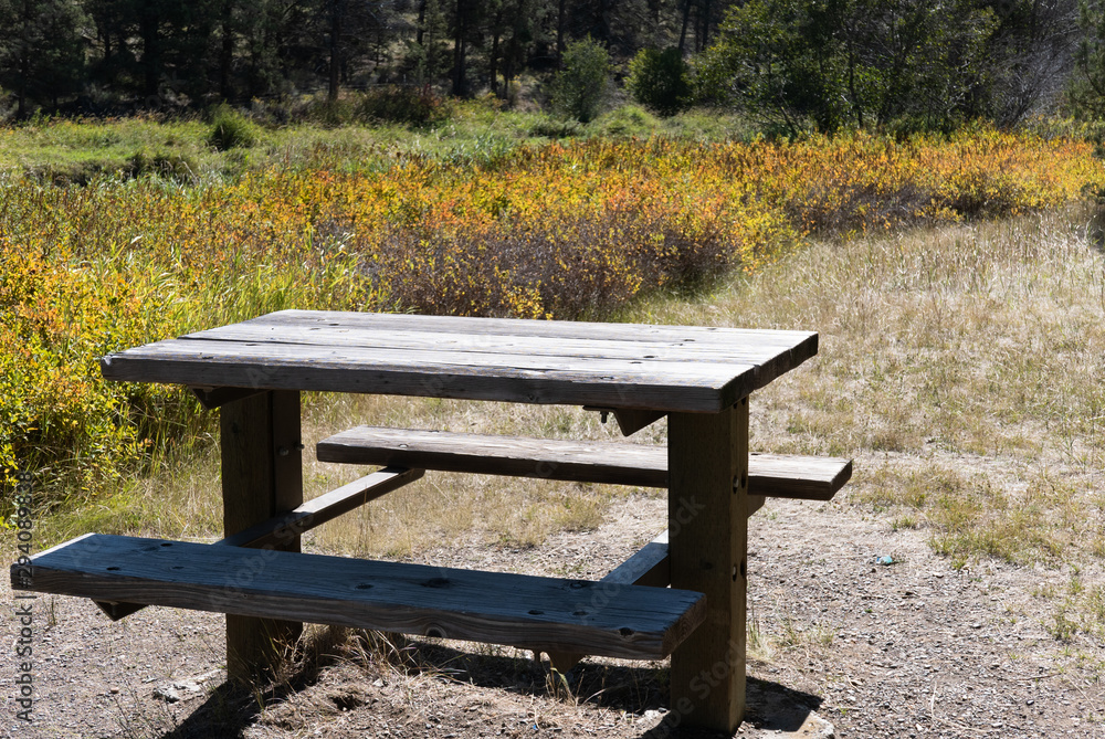 Simple picnic table in the woods in autumn Simple picnic table in the woods in autumn