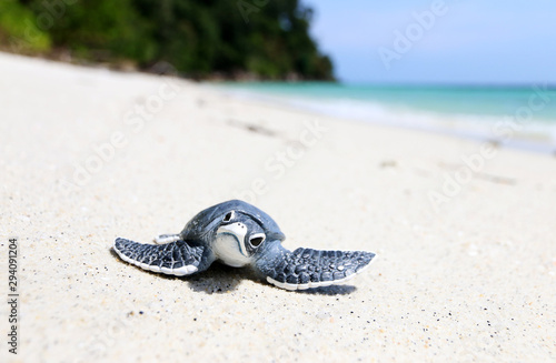 Little turtle on white beach