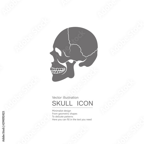Vector drawn skull. Isolated on white background.