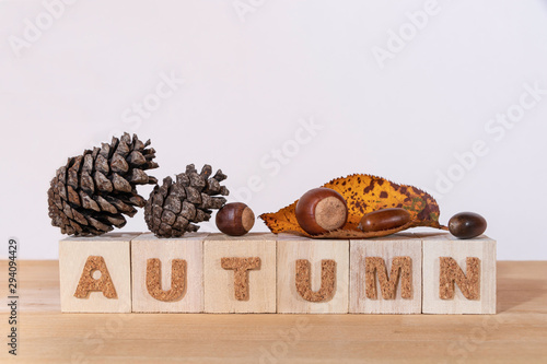 Ａｕｔｕｍｎ,秋,木板の上の松ぼっくりと枯れ葉,コピースペース