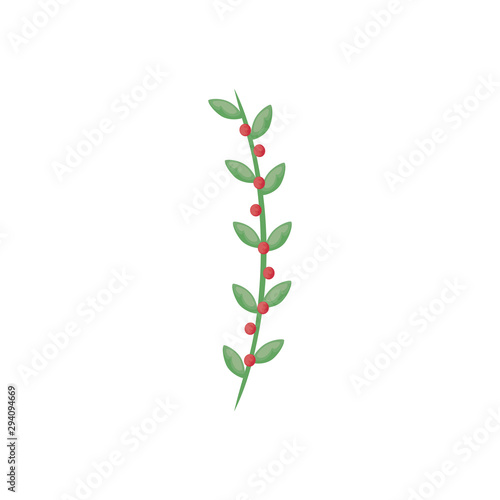 christmas floral decoration on white background