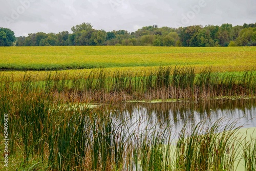 Scenic farm land with still pond and blue sky