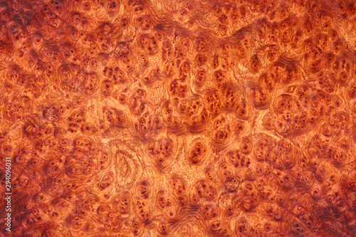 Afzelia wood burl Exotic For Picture Prints photo