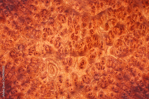 Afzelia wood burl Exotic For Picture Prints