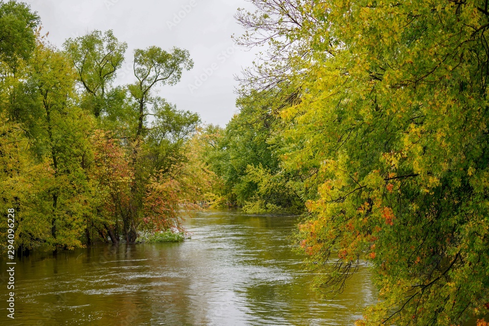 Fototapeta premium Flowing river water in Autumn