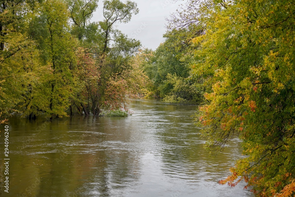 Autumn colored trees on a river