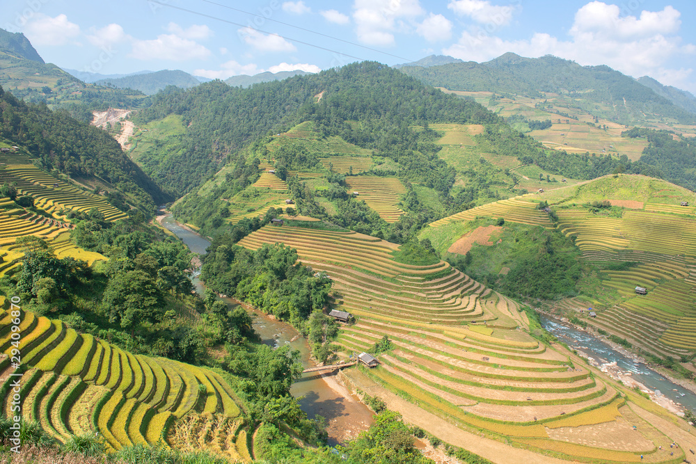  Green, brown, yellow and golden rice terrace fields in Mu Cang Chai, Northwest of Vietnam
