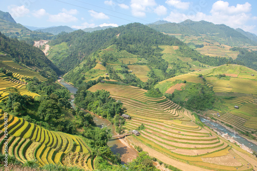 Green, brown, yellow and golden rice terrace fields in Mu Cang Chai, Northwest of Vietnam