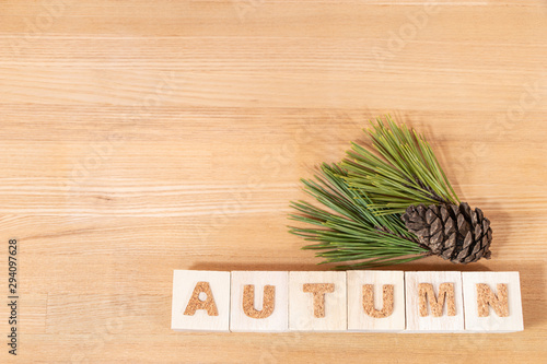 Ａｕｔｕｍｎ,秋,木板の上の松と松ぼっくり,コピースペース