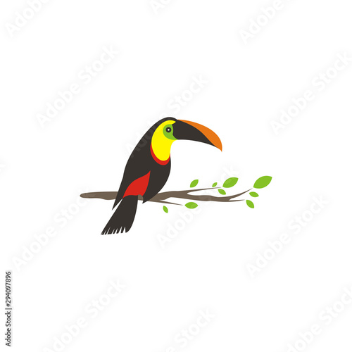Vector bird of toucan is on a wooden branch to prepare to fly