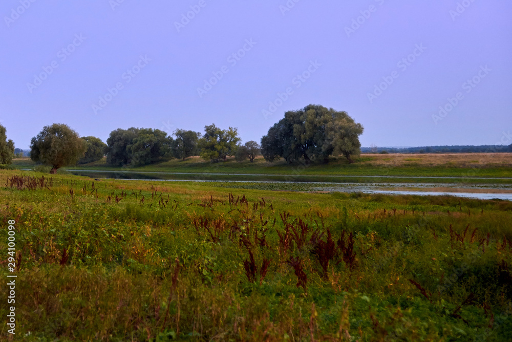 Fototapeta premium Meadow near the shredded river in the evening after sunset.