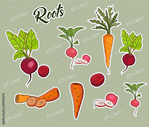 Set of root crops Markov, beets, radishes in the form of insulated stickers.