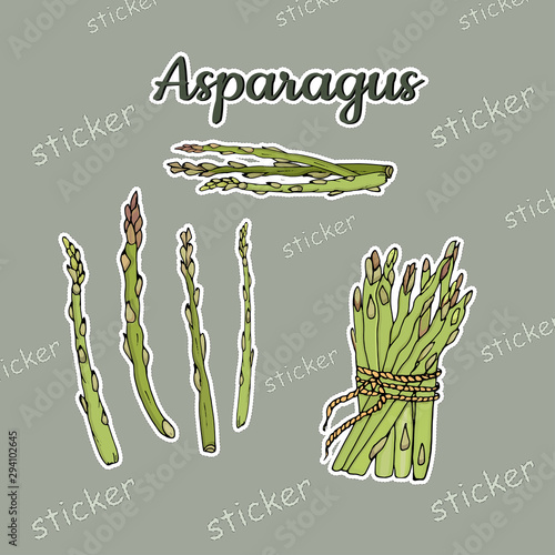 A bunch and sprigs of asparagus in the form of insulated stickers. Vector