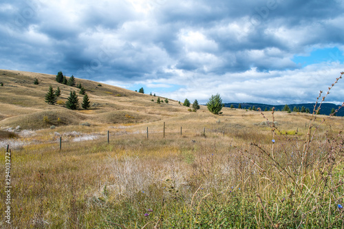 dry pasture grazing lands in rural British Columbia, Canada, near Kamloops. Vast hilly landscape, interesting relief, dry grass, hay, pine trees, blue sky