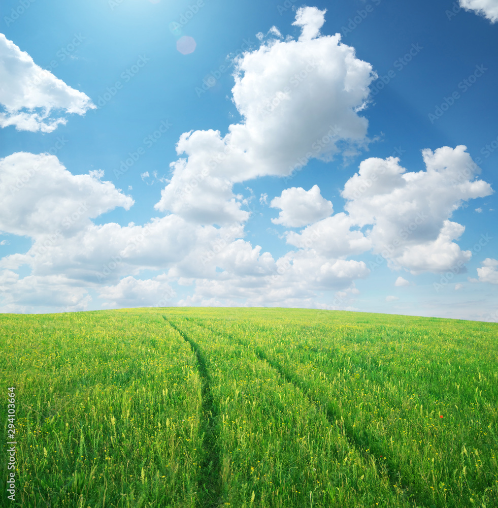Green spring meadow and way to dream. Green spring meadow and way to dream.