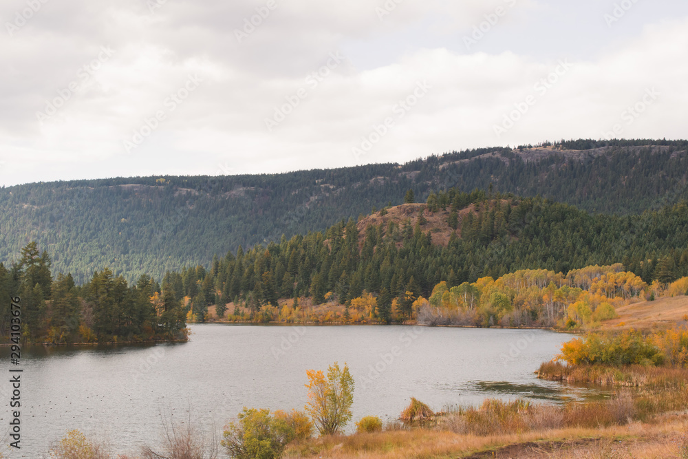 Foliage and mountains with forested trees, lake, rural and remote landscape in Lac Du Bois protected area, grasslands, Kamloops