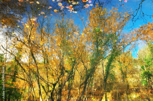 Golden autumn water reflectiom.