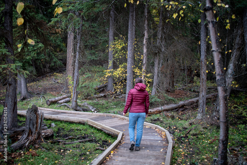 Young girl in red burgundy jacket strolling on the wooden boardwalk in the filiage forest near Isobel Lake in Lac Du Bois, Kamloops. Young girl in red burgundy jacket strolling on the wooden boardwalk in the filiage forest near Isobel Lake in Lac Du Bois, Kamloops.