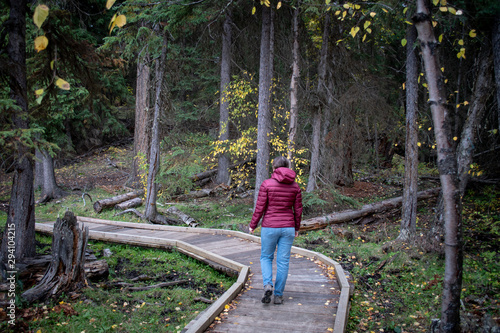 Young girl in red burgundy jacket strolling on the wooden boardwalk in the filiage forest near Isobel Lake in Lac Du Bois, Kamloops. photo